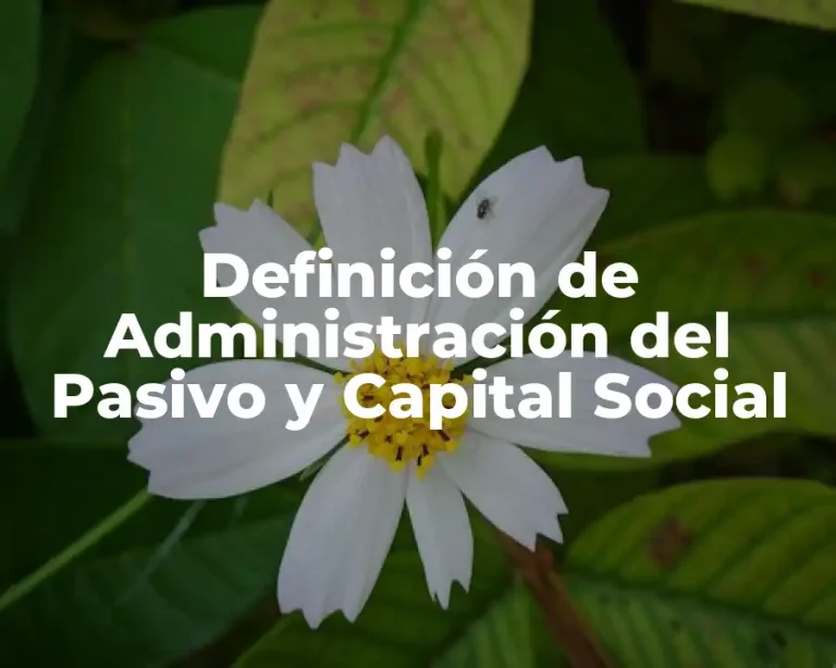 Definición de Administración del Pasivo y Capital Social