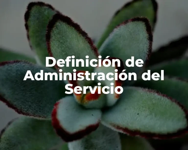 Definición de Administración del Servicio