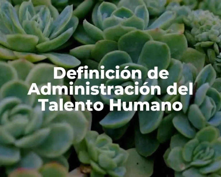 Definición de Administración del Talento Humano