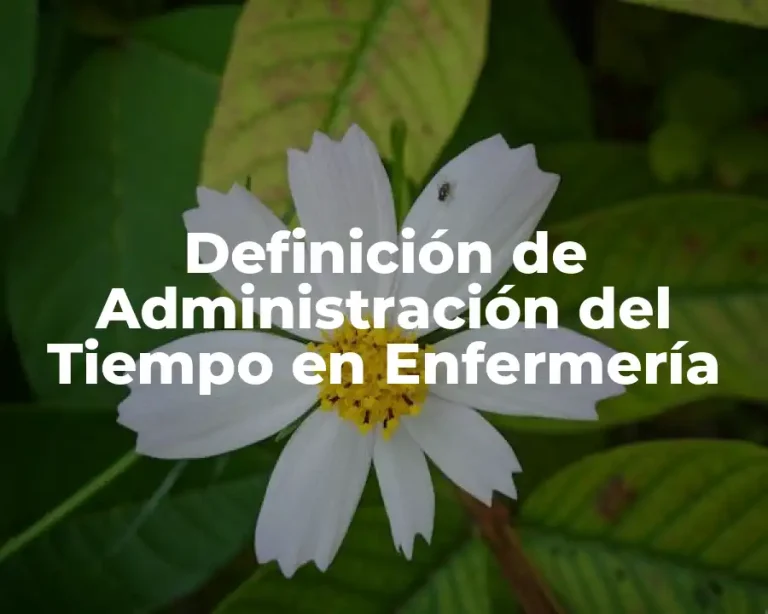 Definición de Administración del Tiempo en Enfermería