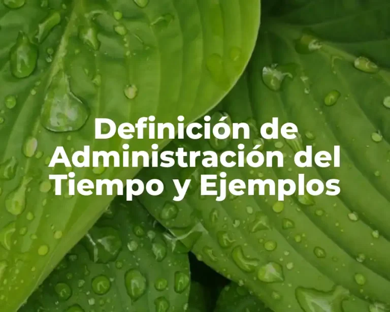 Definición de Administración del Tiempo y Ejemplos