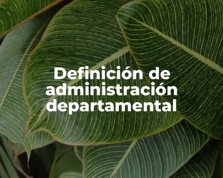 Definición de administración departamental
