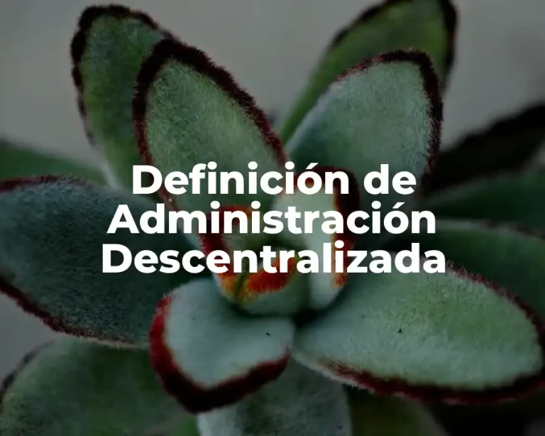 Definición de Administración Descentralizada