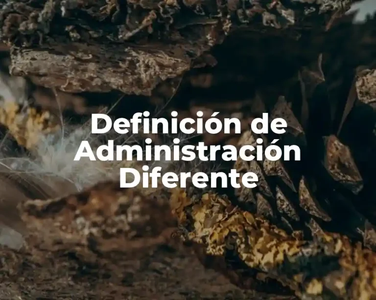 Definición de Administración Diferente