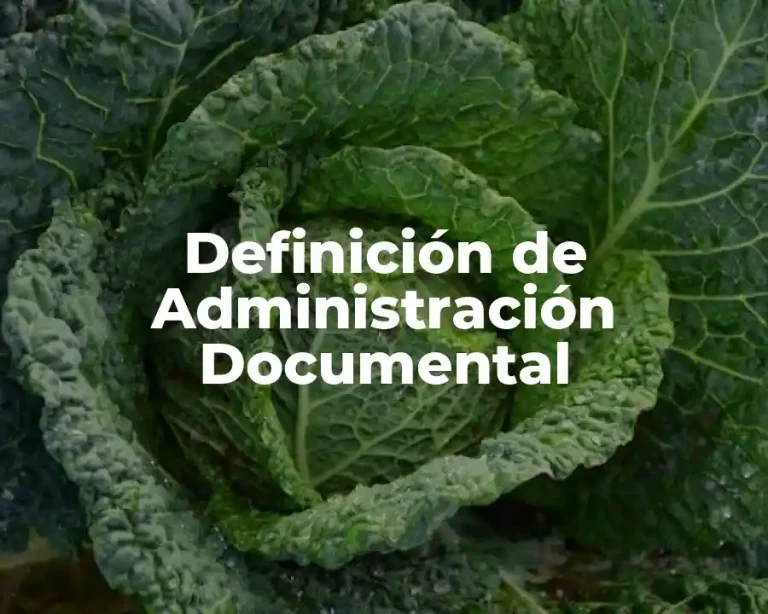 Definición de Administración Documental