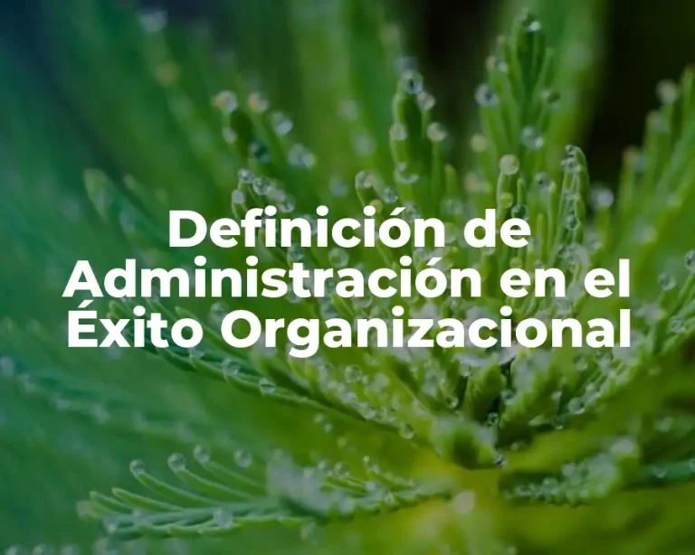 Definición de Administración en el Éxito Organizacional