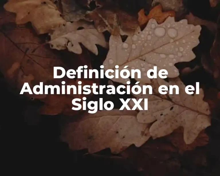 Definición de Administración en el Siglo XXI
