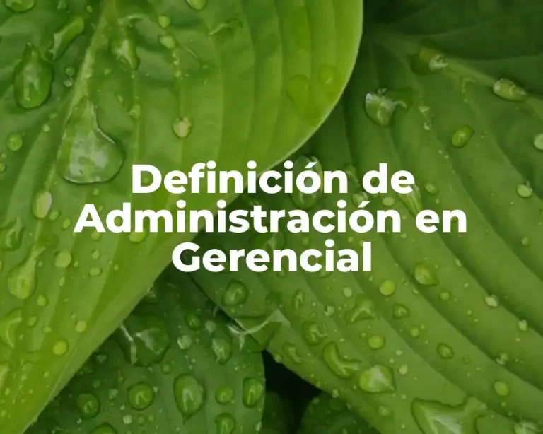 Definición de Administración en Gerencial