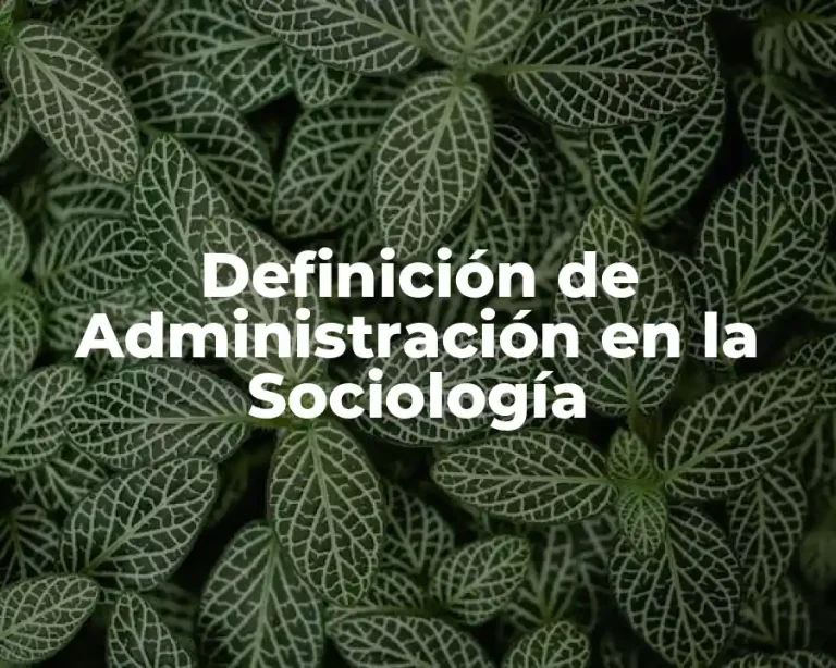 Definición de Administración en la Sociología