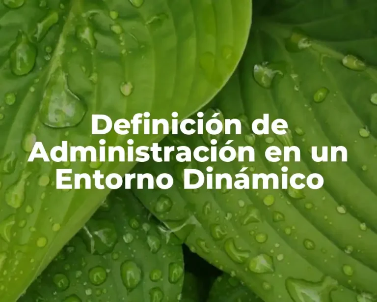 Definición de Administración en un Entorno Dinámico