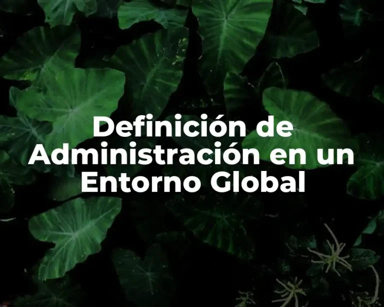 Definición de Administración en un Entorno Global