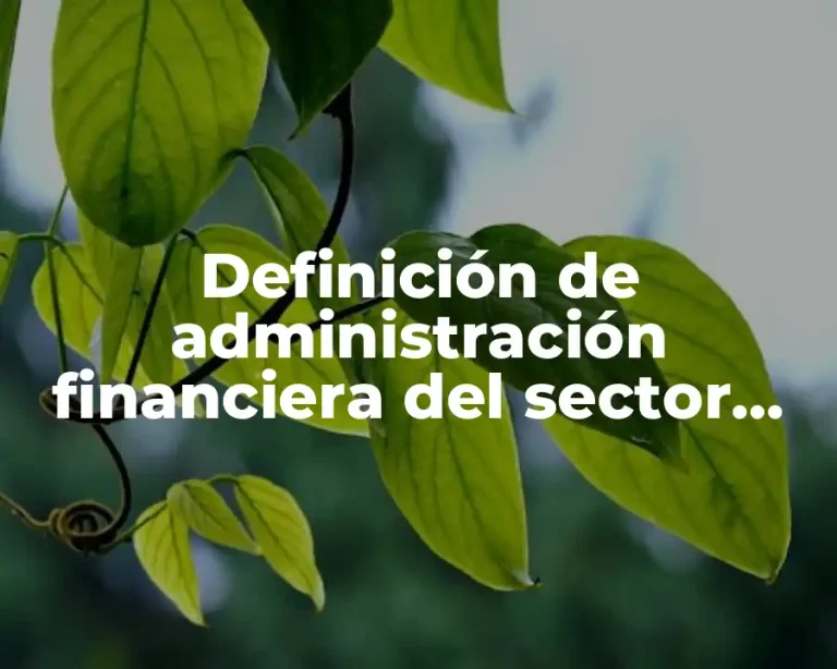 Definición de administración financiera del sector público