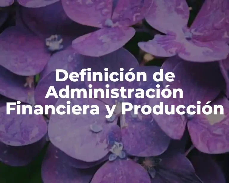 Definición de Administración Financiera y Producción