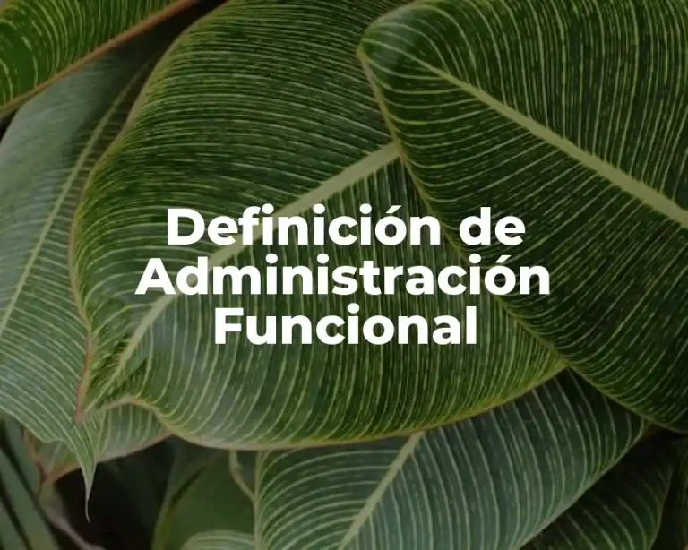 Definición de Administración Funcional