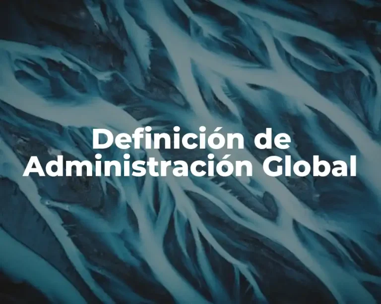 Definición de Administración Global