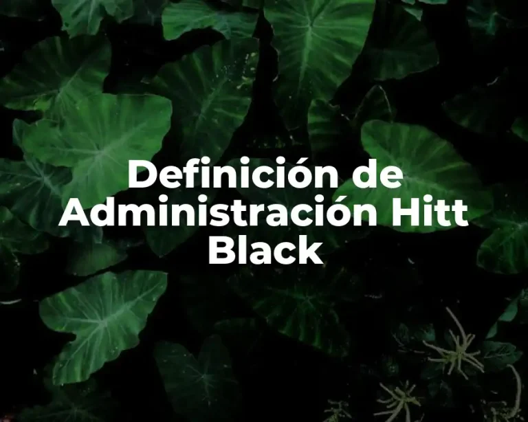 Definición de Administración Hitt Black