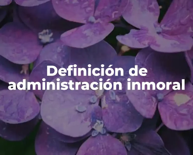 Definición de administración inmoral