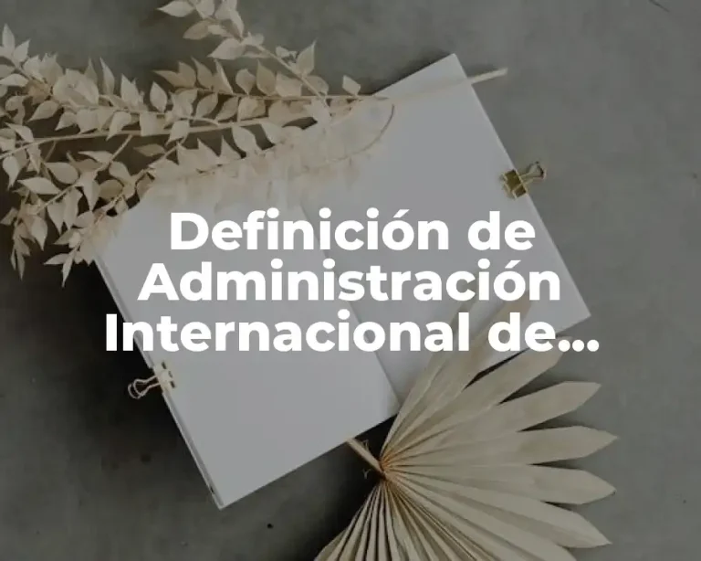 Definición de Administración Internacional de Proyectos