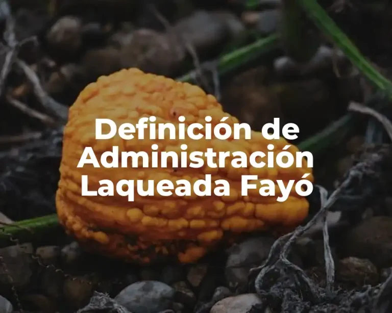 Definición de Administración Laqueada Fayó