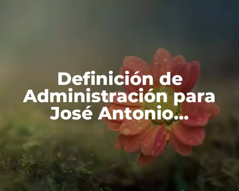 Definición de Administración para José Antonio Fernández Arena