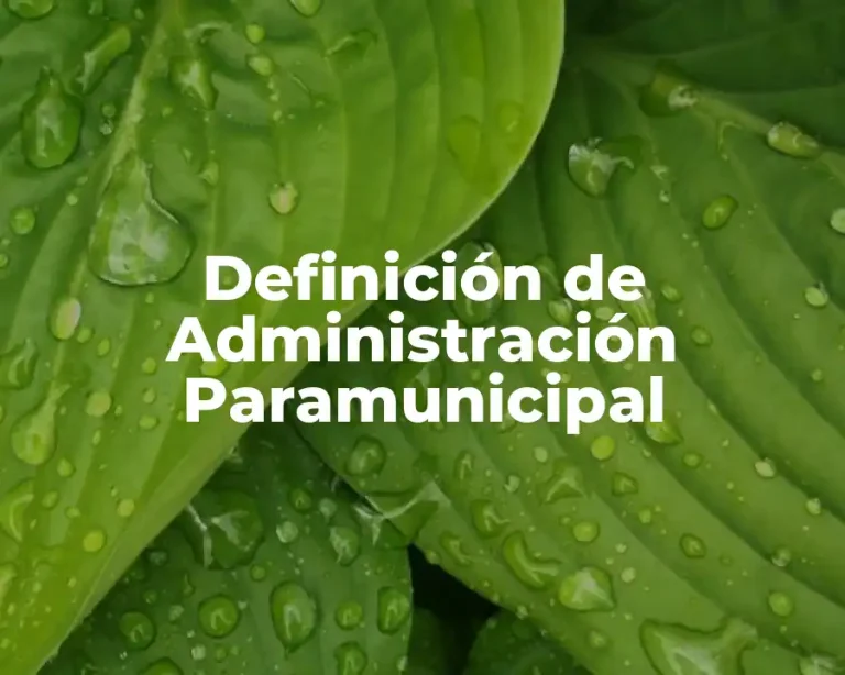 Definición de Administración Paramunicipal