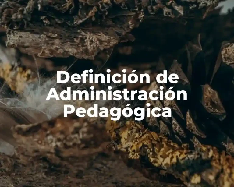 Definición de Administración Pedagógica