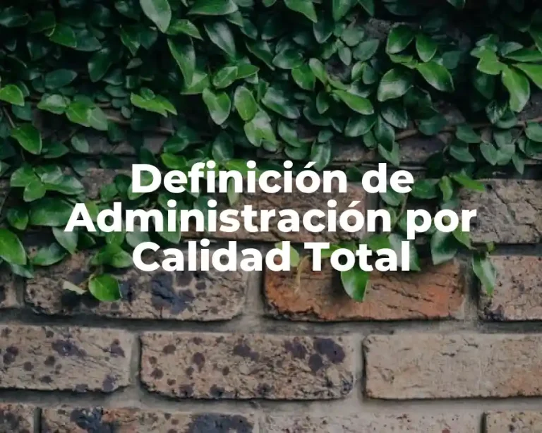 Definición de Administración por Calidad Total
