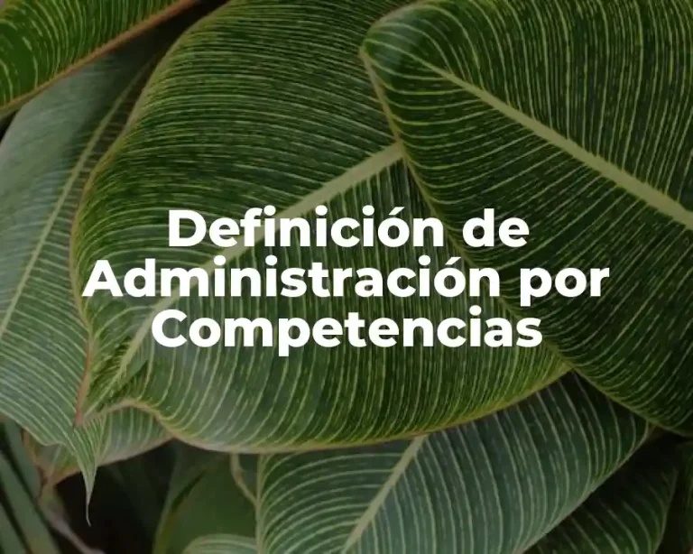 Definición de Administración por Competencias