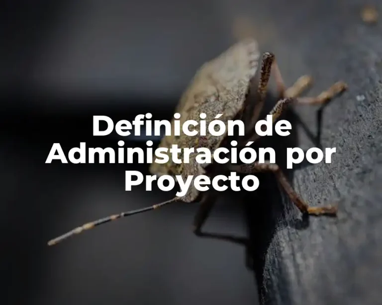 Definición de Administración por Proyecto