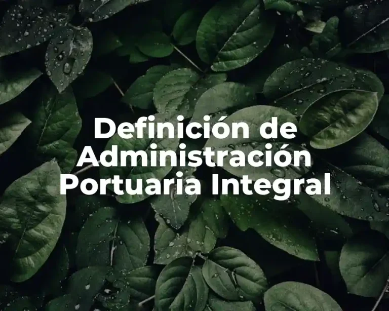 Definición de Administración Portuaria Integral