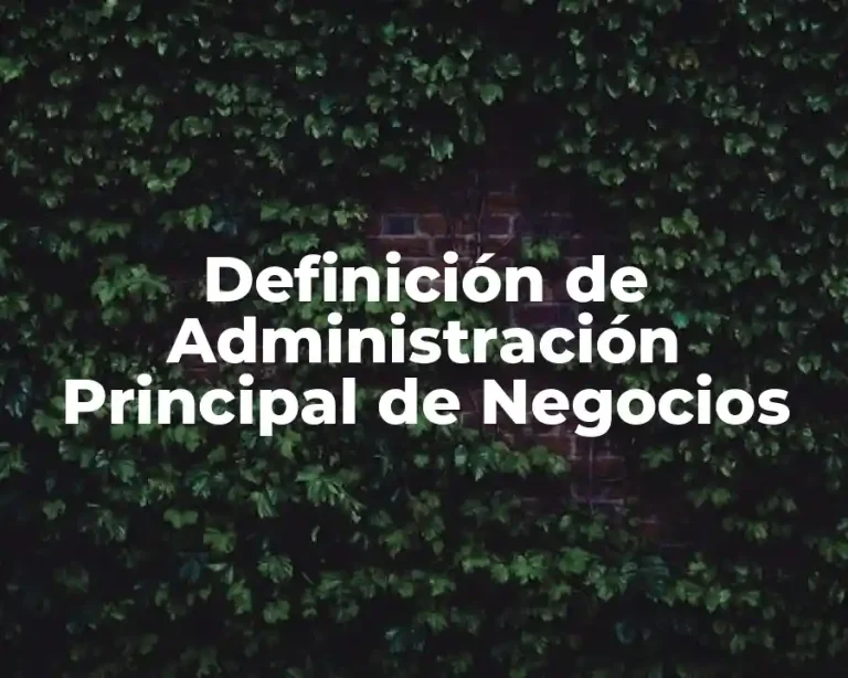 Definición de Administración Principal de Negocios