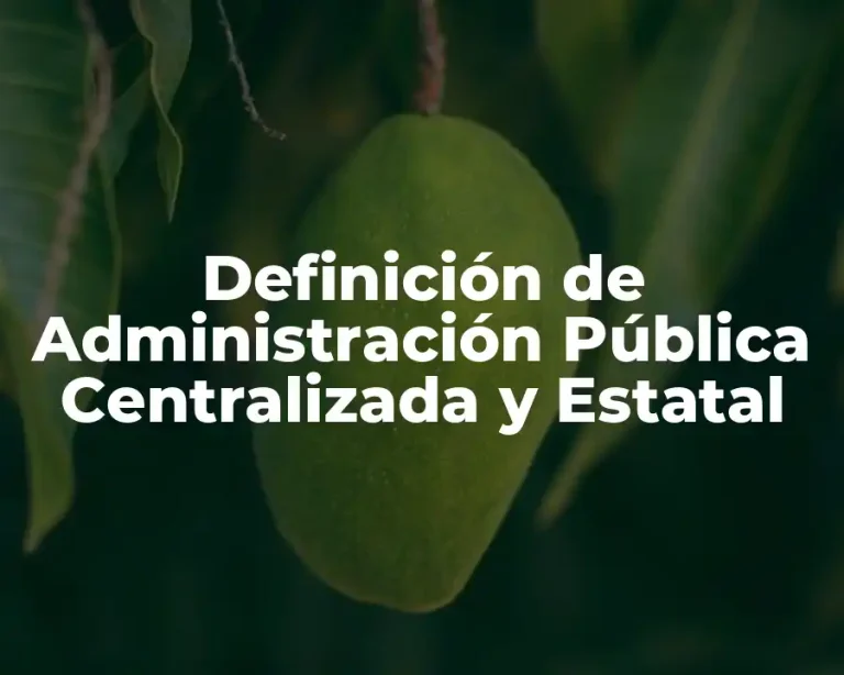 Definición de Administración Pública Centralizada y Estatal