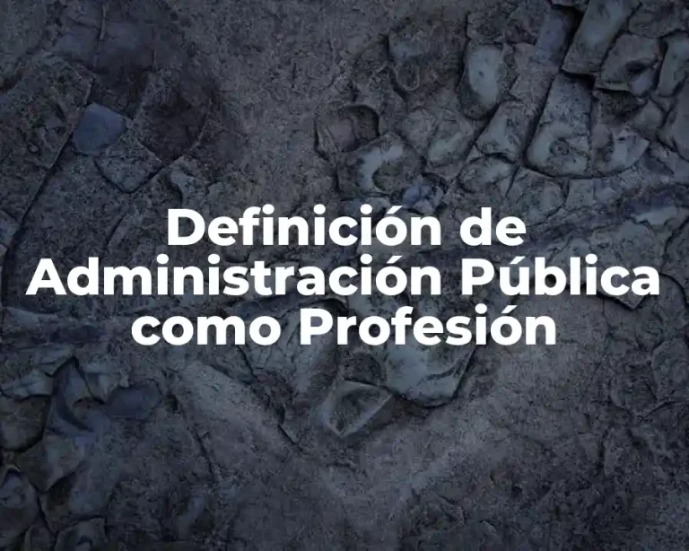 Definición de Administración Pública como Profesión