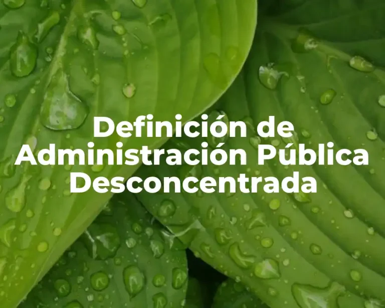 Definición de Administración Pública Desconcentrada