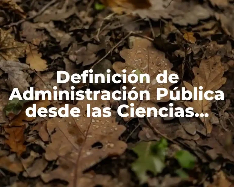 Definición de Administración Pública desde las Ciencias Jurídicas