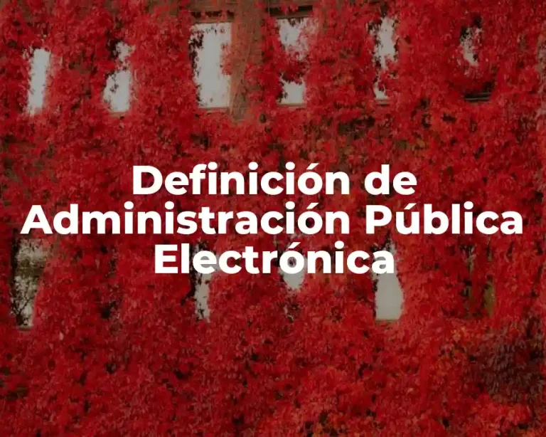 Definición de Administración Pública Electrónica