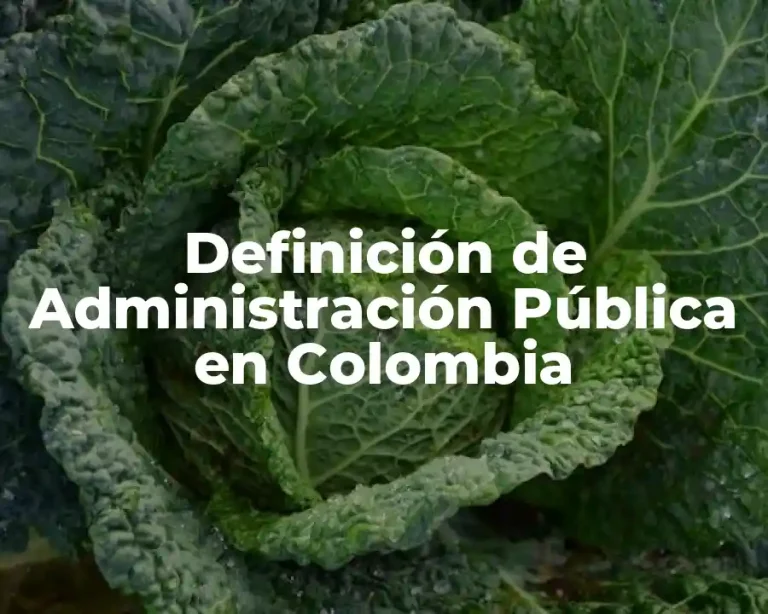 Definición de Administración Pública en Colombia
