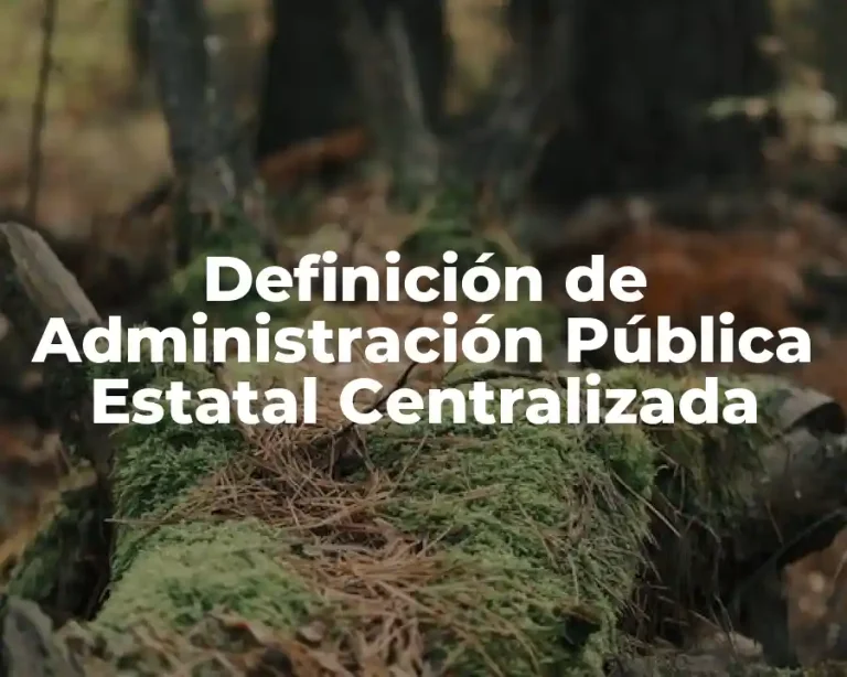 Definición de Administración Pública Estatal Centralizada