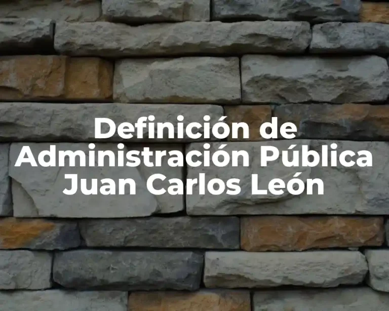 Definición de Administración Pública Juan Carlos León