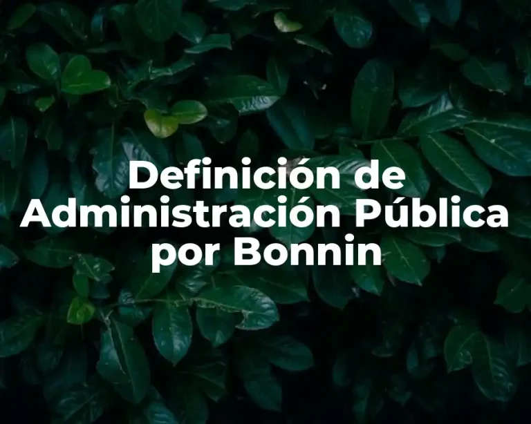 Definición de Administración Pública por Bonnin