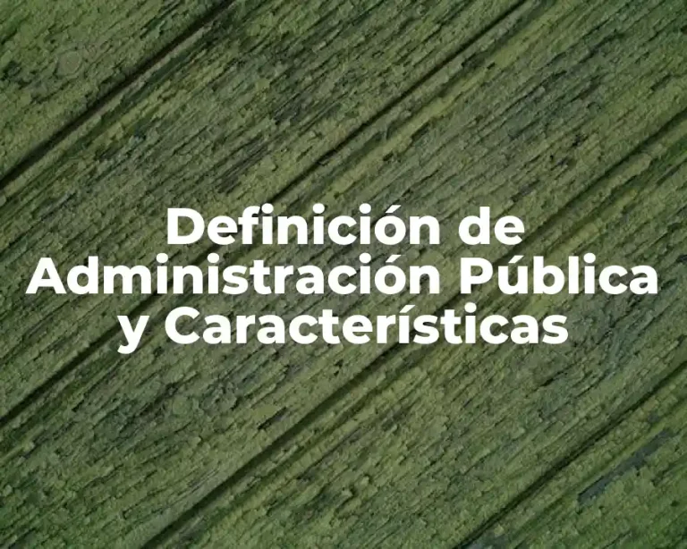 Definición de Administración Pública y Características