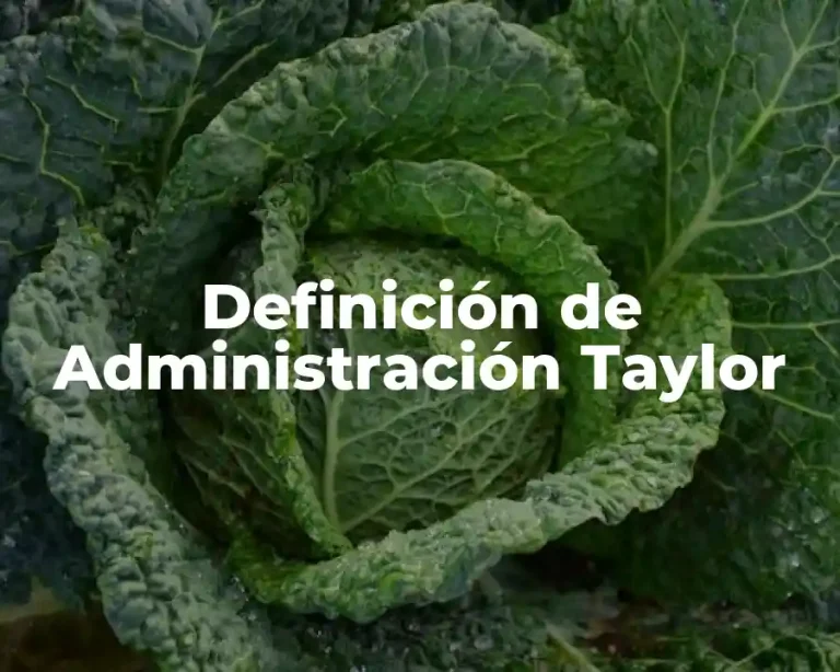Definición de Administración Taylor