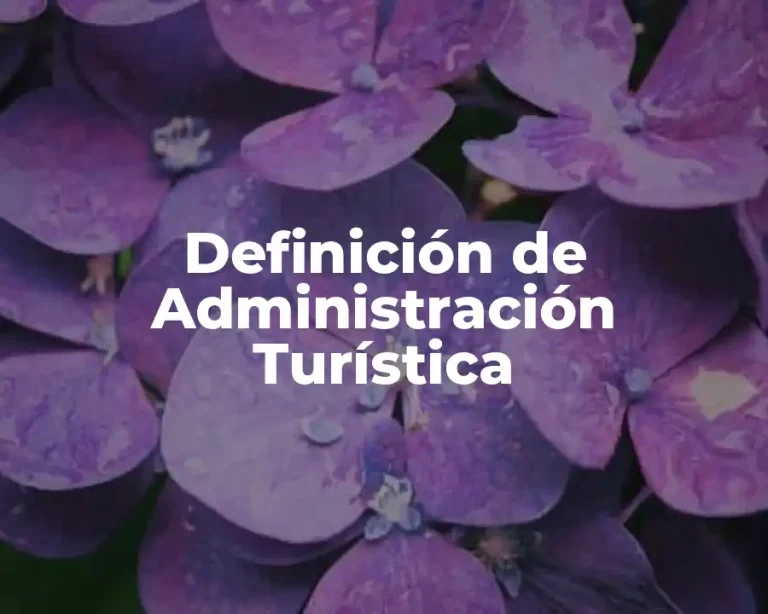 Definición de Administración Turística