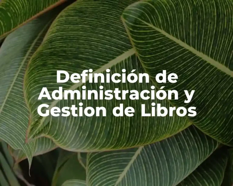 Definición de Administración y Gestion de Libros
