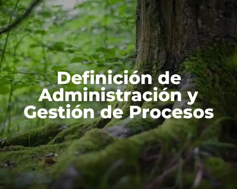 Definición de Administración y Gestión de Procesos