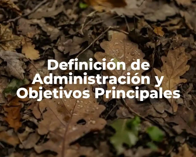 Definición de Administración y Objetivos Principales