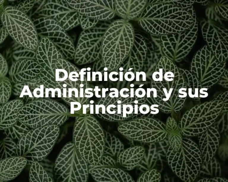 Definición de Administración y sus Principios