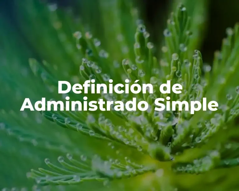 Definición de Administrado Simple