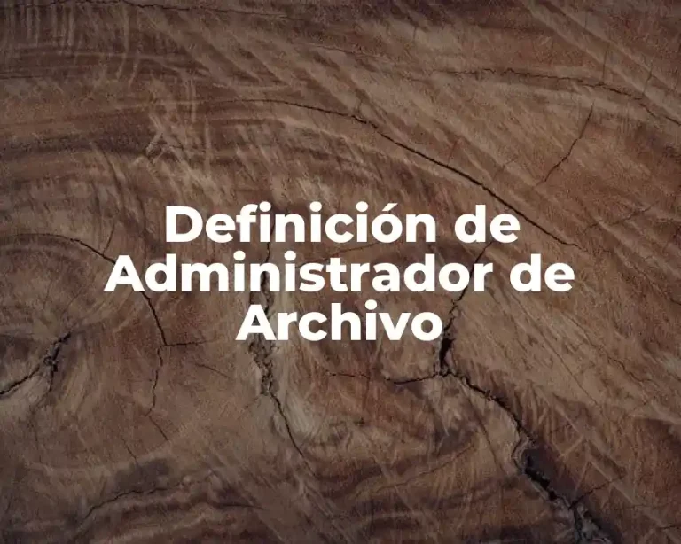 Definición de Administrador de Archivo