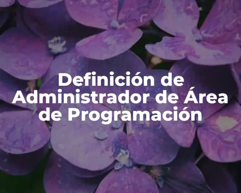 Definición de Administrador de Área de Programación